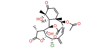 Minabein 1